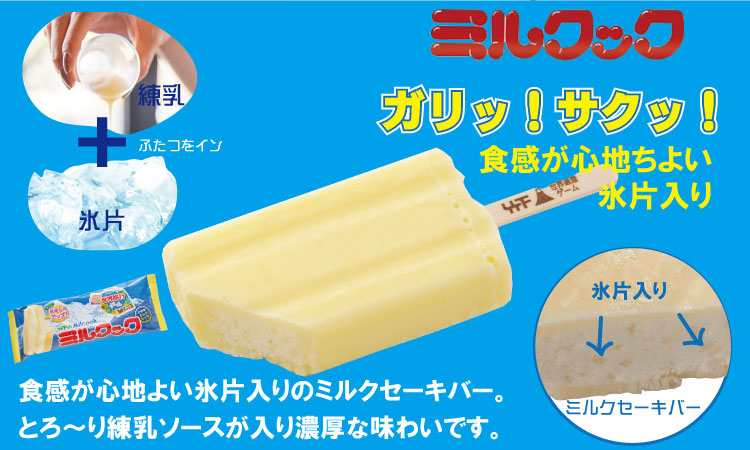 ブラックモンブラン５本・ミルクック５本　竹下製菓 アイス セット 九州 ソウルフード 懐かしい味 アイスクリーム チョコレート ミルク 高評価