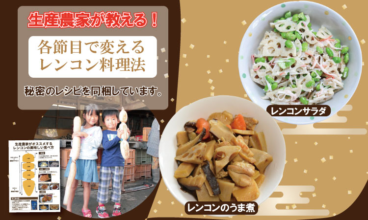 佐賀県産泥付きレンコン（3kg） 有明・潮風ファーム  送料無料 農家直送 九州 佐賀 続々高評価 蓮根 野菜 根菜  サラダ マリネ 佐賀県 小城市