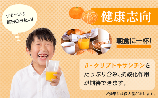 佐賀県産みかん使用 みかん100（ 紙パック 1L×6本）温州みかん 天然 果汁100% ビタミンC 酸味 甘み みかん ジュース 佐賀県 小城市