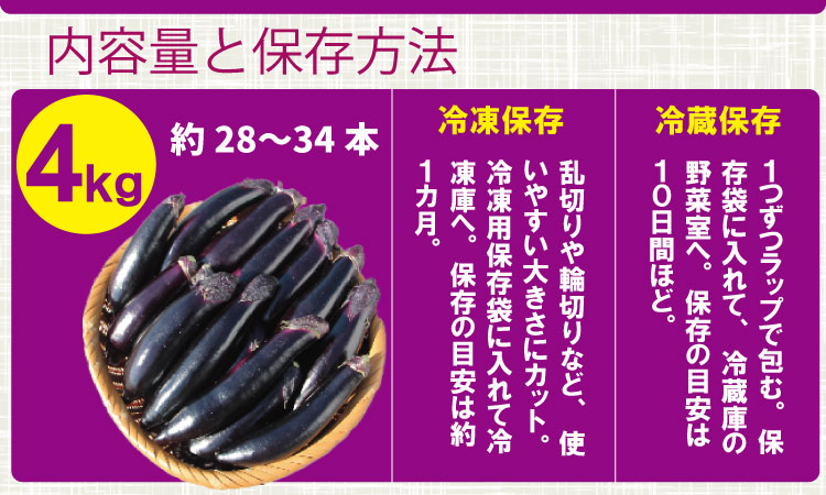 【先行予約】小城市産 筑陽ナス （4kg） 朝採れ 新鮮 ハウス栽培 茄子 煮物 揚げ物 焼き なす 農家直送 新鮮 野菜