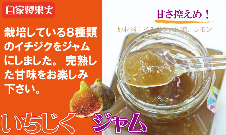 まるごと濃縮！いちじく ＆ ブルーベリー ジャム セット （190g×各2個） ジョブクリエイト フルーツ 果実 自家製 天然素材 健康