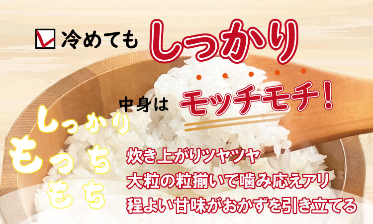 令和7年度産 佐賀県認定 特別栽培米「さがびより」（3kg） 北川農産