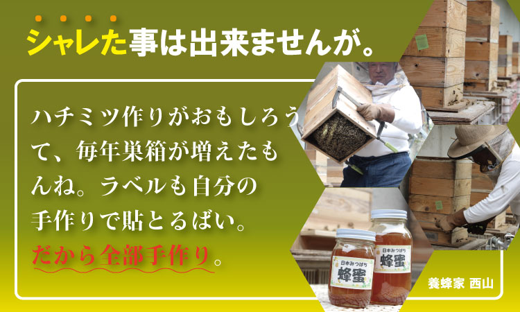 はちみつ（日本蜜蜂）蜂蜜（百花蜜）500g 西山養蜂 ハチミツ 天然はちみつ 希少なハチミツ にほんみつばち 濃厚な味