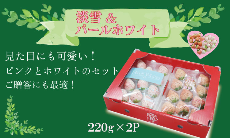 【先行予約令和8年1月配送開始】淡雪＆パールホワイト（各１パック）220g×2（合計440g）農家直送 水田苺園　農家 直送品 果物 くだもの フルーツ 人気 ランキング 高評価 苺 イチゴ