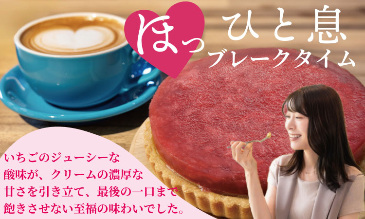 さがほのか いちご タルト （4号サイズ・直径12cm）冷凍 濃厚 苺 お祝い 冷凍  デザート スイーツ プレゼント ギフト 贈り物 クリスマス お土産 誕生日 佐賀県