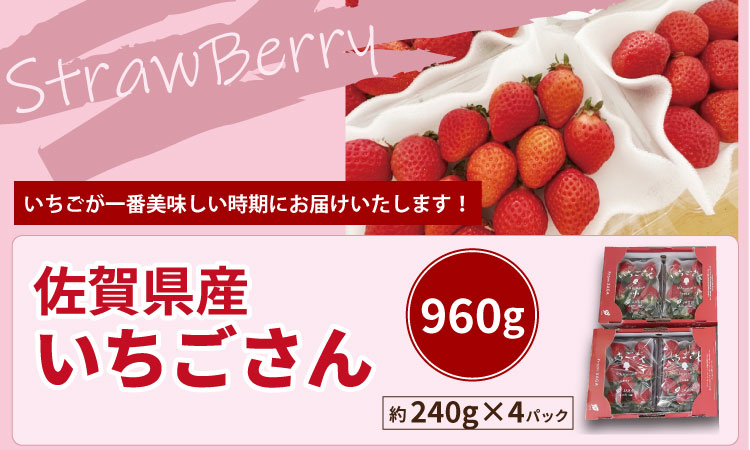 【先行予約令和8年1月配送開始】佐賀県産 いちごさん （ 240g×4P ）有明・潮風ファーム 直送品 果物 くだもの フルーツ 人気 ランキング 高評価 苺 イチゴ