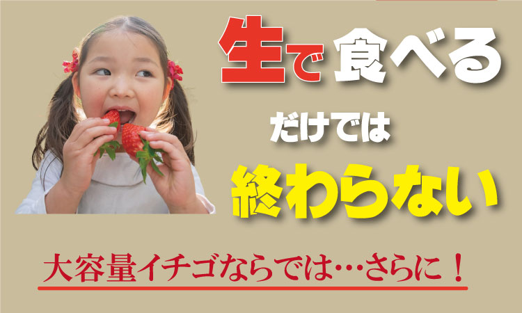 【先行予約令和8年2月配送開始】大容量いちごさん 1kg×２箱（2,000g）ふるかわ農園 イチゴ 大中小 サイズ 優品等級 苺 大量 段ボール配送 加工品用