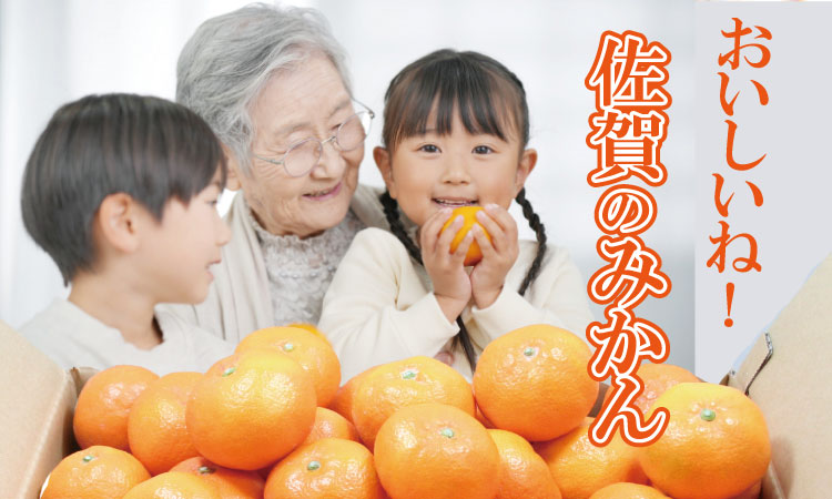 【先行予約】 佐賀県産 みかん（10kg）　潮風ファーム 大津 みかん 柑橘 温州みかん