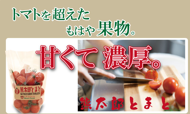【先行予約】【令和8年1月中旬頃より出荷】熊太郎とまと （3kg）甘さ 濃縮 トマト 塩 スパルタ 栽培 ビタミン豊富 採れたて　ベアーズファーム 佐賀県産 tomato トマト