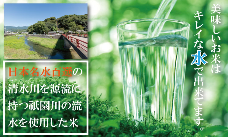 【新米予約】R７年度産（令和７年度産） 佐賀ブランド 米「 さがびより 」10kg（5kg×2袋）ほたるの郷 直売所 精米 白米 １０キロ 単位 もちもち 食感 冷めても 美味しい お一人様 ご家族用 ランキング 特A 評価
