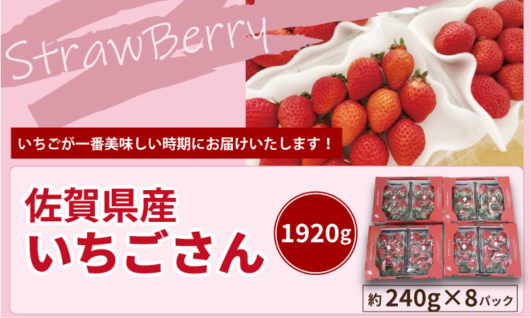 【先行予約令和8年1月配送開始】佐賀県産 いちごさん （ 240g×8P ）有明・潮風ファーム 直送品 果物 くだもの フルーツ 人気 ランキング 高評価 苺 イチゴ