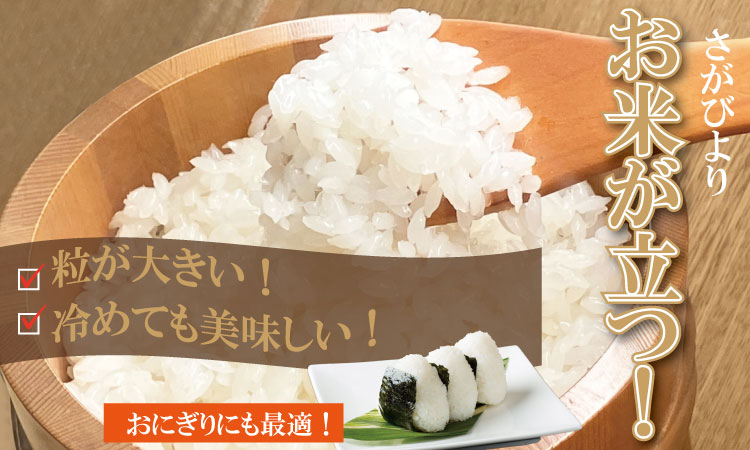 佐賀ブランド米「さがびより」１０ｋｇ（5ｋｇ×２）潮風F