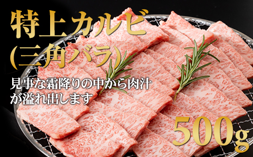 三角バラ肉入り！佐賀牛焼肉セット（カルビ・ロース×900g）つるや食品 佐賀牛 食べ比べ 特上カルビ500g ロース400g 焼き肉 国産 牛肉 バーベキューセット BBQ お肉 ブランド牛 九州産 送料無料　A5～A4 人気 ランキング 佐賀県産 黒毛和牛