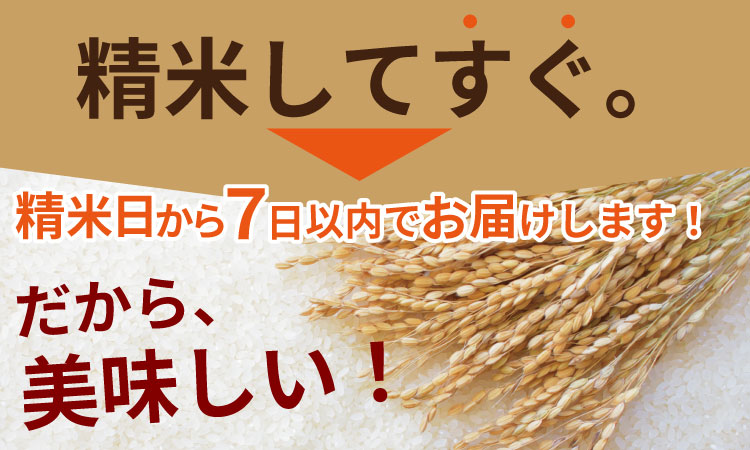 ご飯ソムリエ厳選！夢しずく20kg（5ｋｇ×４）（肥前糧食） 一等米 精米 白米 ブランド米 夢しずく お米 白飯 佐賀県 人気 ランキング 高評価