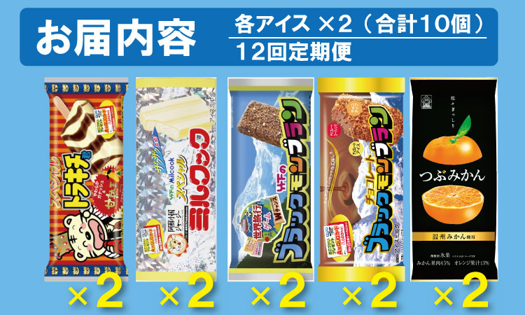 【定期便】 (12ヶ月連続お届け)竹下製菓人気アイス10本