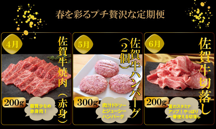 【定期便】 (連続12回) 佐賀牛 やまとフーズ 単身・おひとり様用