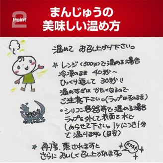 【お試しセット】小城の母ちゃんの手作り餃子、野菜饅頭セット(塩麹餃子20個、野菜まんじゅう3個）特製タレ付き  送料無料 餃子 ギョーザ 饅頭 冷凍食品 佐賀