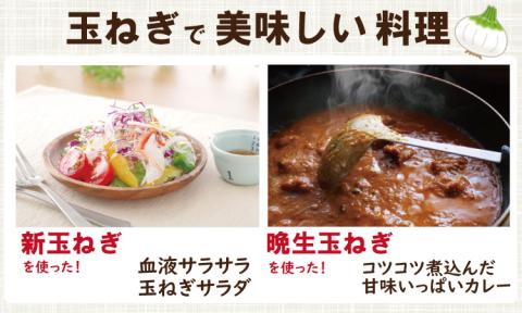 【先行予約】タマネギ（新玉ねぎ）なかはら農園 （10kg）サイズ2L～Mサイズ （たまねぎ、玉葱）　野菜 根菜 オニオン 九州 佐賀 サラダ マリネ 人気 ランキング 送料無料