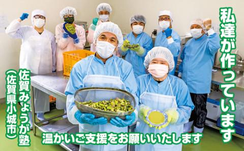 新鮮 朝採れ アスパラガスパウダー200g 通常サイズ x 2袋 濃縮 野菜パウダー 佐賀県 佐賀 小城市 社会福祉 支援事業 高栄養 6次化商品 お菓子作り 機能性食品 送料無料