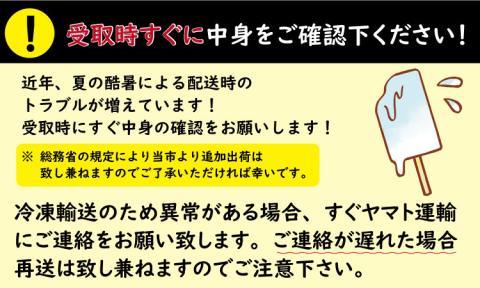 【定期便】 (12ヶ月連続お届け)竹下製菓人気アイス10本