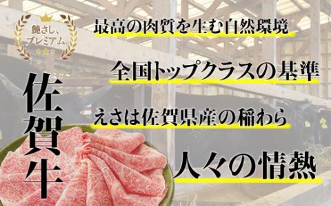 【定期便】 佐賀牛バラエティ12回（毎月）セット (お肉の定期便)
