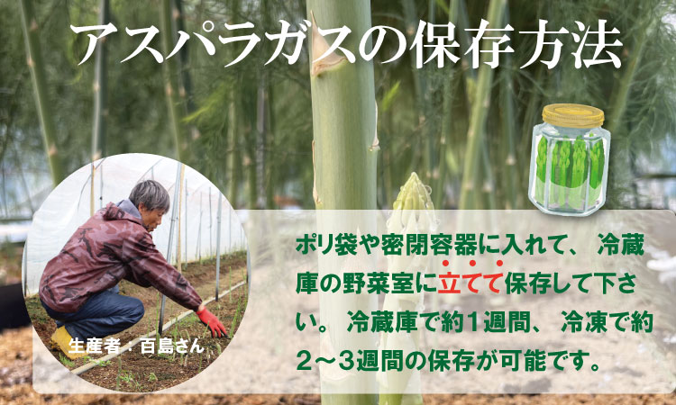 採れたて新鮮！アスパラガス（500g）百島農園 生産者直送 野菜 人気 ランキング 高評価