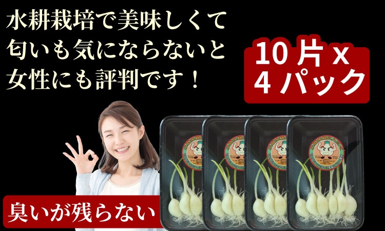 水耕栽培ニンニクセット（４パック） 健康志向 無臭  にんにく 社会福祉 臭いが少ない ニンニク