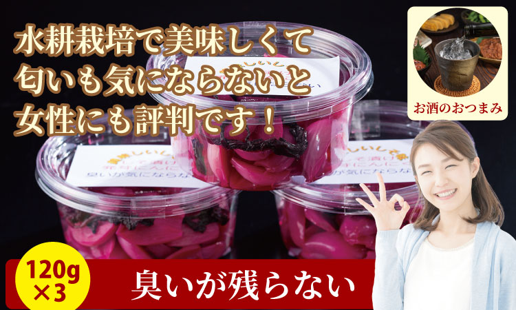 発芽ニンニクしそ漬けセット（３パック） 健康志向 無臭  にんにく 社会福祉 臭いが少ない ニンニク