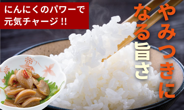 発芽ニンニクのたまり漬け（3パック） 健康志向 無臭  にんにく 社会福祉 臭いが少ない ニンニク