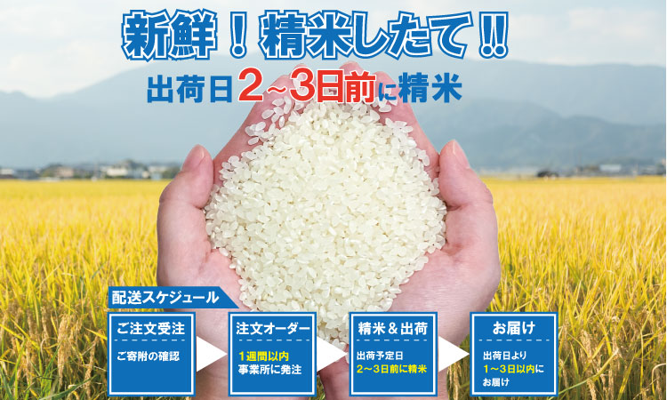 ご飯ソムリエ厳選！「無洗米」夢しずく5kg（肥前糧食）  冷めても 美味しい 甘い 一等米 精米 白米 ブランド米 お米 白飯 洗わない 洗水不要 佐賀県 米処