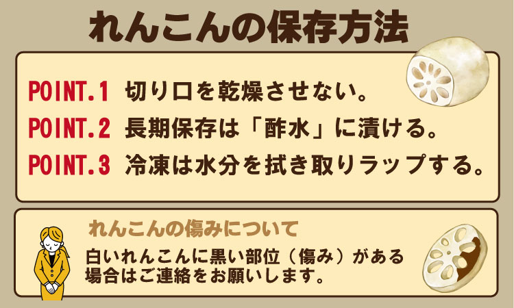 大人気！佐賀県産泥付きれんこん（3kg） もりながファーム  送料無料 農家直送 九州 佐賀 続々高評価 蓮根 野菜 根菜  サラダ マリネ