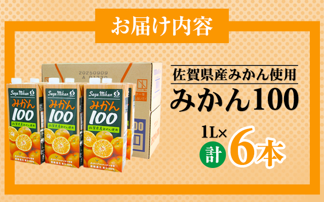佐賀県産みかん使用 みかん100（ 紙パック 1L×6本）温州みかん 天然 果汁100% ビタミンC 酸味 甘み みかん ジュース 佐賀県 小城市