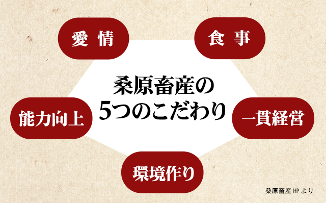 佐賀牛切り落とし500g (500g X 1p) 桑原畜産 黒毛和牛 ブランド牛 牛肉 送料無料  A5～A4 ブランド牛 しゃぶしゃぶ スライス すき焼き 焼肉 小分け 人気 ランキング  高評価 肉 牛 牛肉 国産 佐賀県産 佐賀