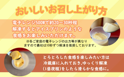 まだ名前のない塩プリン（6個入り） プリン 塩プリン 洋菓子 スイーツ お土産 おやつ 佐賀県 小城市 プレゼント 贈答 贈答用プリン 人気 とろとろ 滑らか クリーム 塩 冷凍