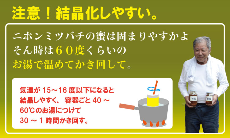 はちみつ（日本蜜蜂）蜂蜜（百花蜜）500g 西山養蜂 ハチミツ 天然はちみつ 希少なハチミツ にほんみつばち 濃厚な味