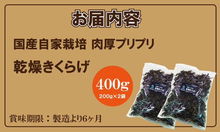 国産 自家製 乾燥 きくらげ （400g）ジョブクリエイト 肉厚 プリプリ キクラゲ 中華料理 ラーメン スープ アクセントに！