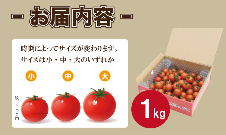 【先行予約】【令和8年1月中旬頃より出荷】熊太郎とまと （1kg）甘さ 濃縮 トマト 塩 スパルタ 栽培 ビタミン豊富 採れたて　ベアーズファーム 佐賀県産 tomato トマト