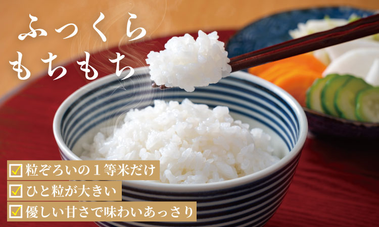 佐賀県ブランド米 さがびより（5kg）肥前糧食  ごはんソムリエ推奨米！ 送料無料  一等米 精米 白米 ブランド米 お米 白飯 人気 ランキング 高評価