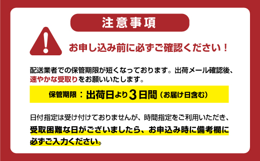 竹下製菓 しっとるケレギュラーサイズ（ 32本） 竹下製菓 しっとるケ レギュラーサイズ（ 32本） 送料無料 竹下製菓 アイスクリーム スイーツ  佐賀 九州 限定 地方 ご当地 お取り寄せ ギフト 小分け 個包装 人気 ランキング 高評価 送料無料