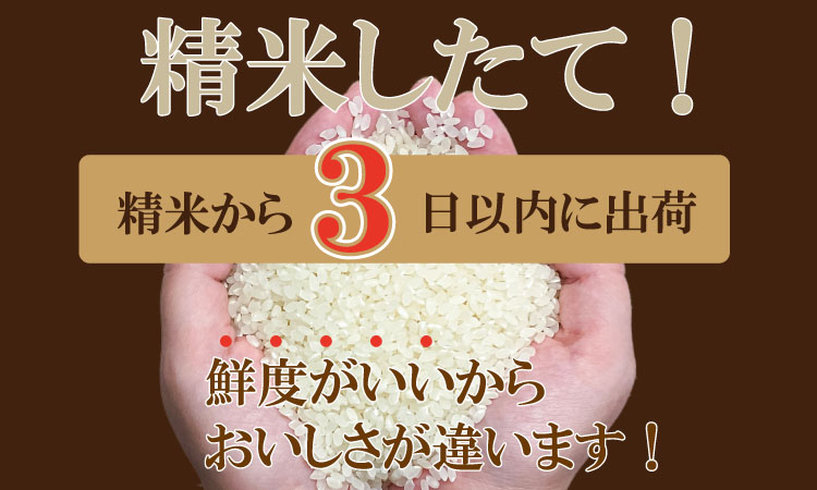 【新米】R7年度産（令和７年）特別栽培米 佐賀ブランド 米「 夢しずく 」（5kg）田中農場 精米 白米 5キロ 単位 もちもち 食感 冷めても 美味しい お一人様 ご家族用 ランキング 特A 評価