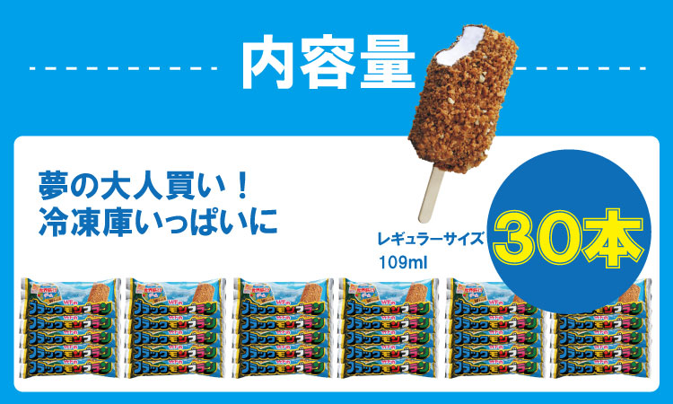 ブラックモンブラン30本セット 竹下製菓 アイス クリーム スィーツ あいす アイスバー スイーツ バニラ チョコ クランチ 佐賀 九州 限定 詰め合わせ アソート 地方 ご当地 おやつ　お取り寄せ ギフト 小分け 個包装 人気 ランキング 高評価　送料無料