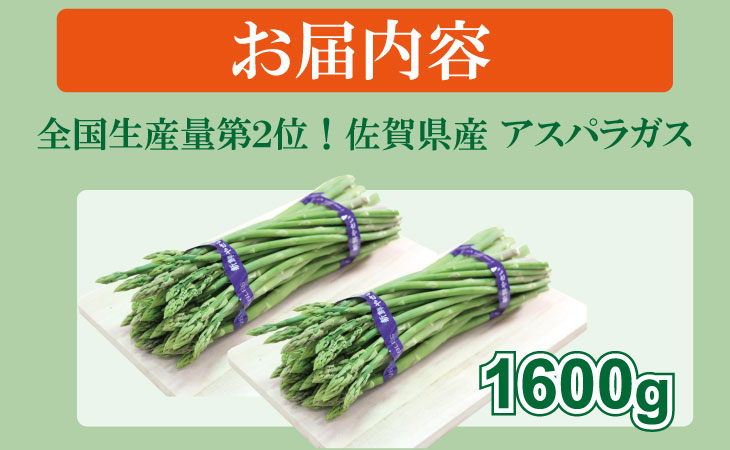 全国生産量 第2位！アスパラガス（1,600g）新鮮採れたて 農家直送 佐賀県産