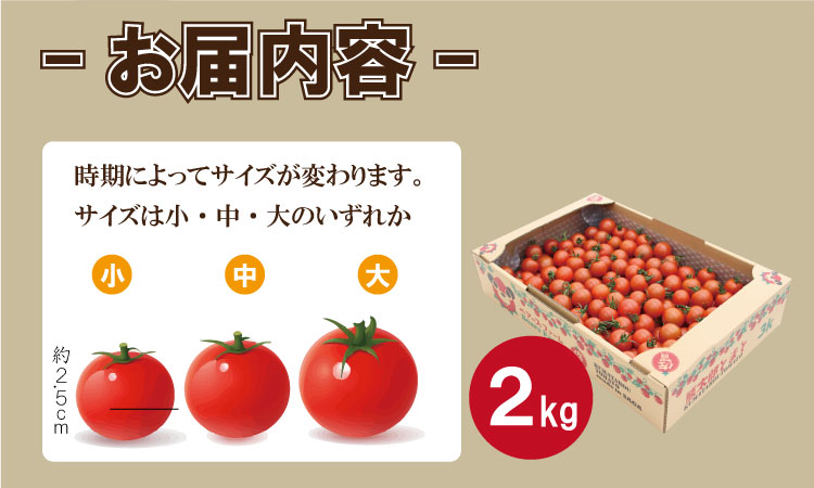 【先行予約】【令和8年1月中旬頃より出荷】熊太郎とまと （2kg）甘さ 濃縮 トマト 塩 スパルタ 栽培 ビタミン豊富 採れたて　ベアーズファーム 佐賀県産 tomato トマト