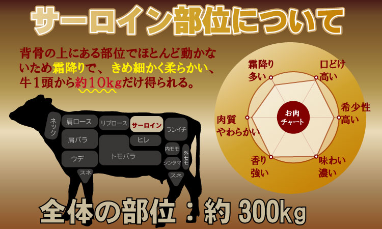 こだわりの 佐賀牛 サーロイン ステーキ 用３枚　（合計500g） 桑原畜産　佐賀牛サーロインステーキ 黒毛和牛 ブランド牛 牛肉 送料無料  ブランド牛 ステーキ セット 人気 ランキング  高評価 牛肉 国産 佐賀県産