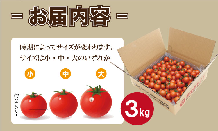 【先行予約】【令和8年1月中旬頃より出荷】熊太郎とまと （3kg）甘さ 濃縮 トマト 塩 スパルタ 栽培 ビタミン豊富 採れたて　ベアーズファーム 佐賀県産 tomato トマト