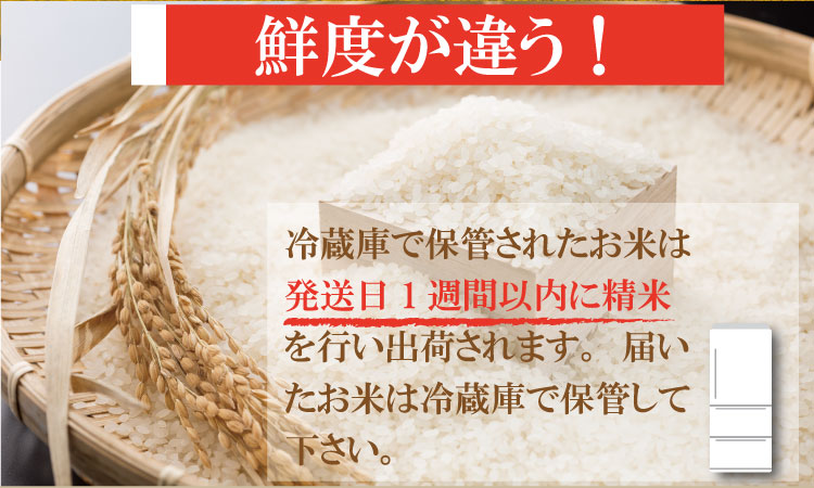 【新米予約】R7年度産（令和7年度産）佐賀ブランド 米「 夢しずく 」10kg（5kg×2袋）ほたるの郷 精米 白米 10キロ 単位 もちもち 食感 冷めても 美味しい お一人様 ご家族用 ランキング 特A 評価