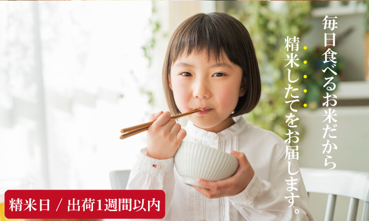 佐賀ブランド米「さがびより」１０ｋｇ（5ｋｇ×２）潮風F