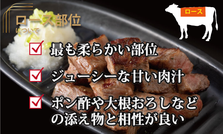 佐賀牛ロースステーキ（600g） 佐賀牛 ステーキ 厚切り サーロイン 合計600g 牛肉 国産 お肉 ブランド牛  送料無料 A5～A4 ブランド牛 ステーキ 焼肉 人気 ランキング 高評価 佐賀県産 国産 黒毛和牛
