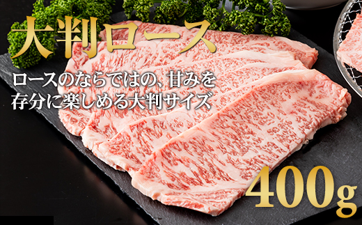 三角バラ肉入り！佐賀牛焼肉セット（カルビ・ロース×900g）つるや食品 佐賀牛 食べ比べ 特上カルビ500g ロース400g 焼き肉 国産 牛肉 バーベキューセット BBQ お肉 ブランド牛 九州産 送料無料　A5～A4 人気 ランキング 佐賀県産 黒毛和牛
