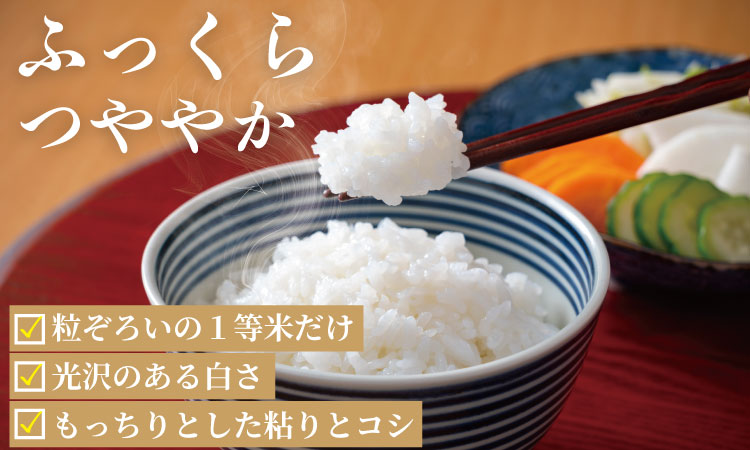 ご飯ソムリエ厳選！夢しずく20kg（5ｋｇ×４）（肥前糧食） 一等米 精米 白米 ブランド米 夢しずく お米 白飯 佐賀県 人気 ランキング 高評価